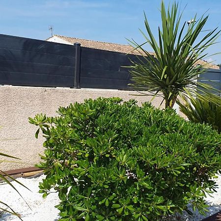 קרקסון La Villa De L'Olivier Piscine Privee Et Parking מראה חיצוני תמונה