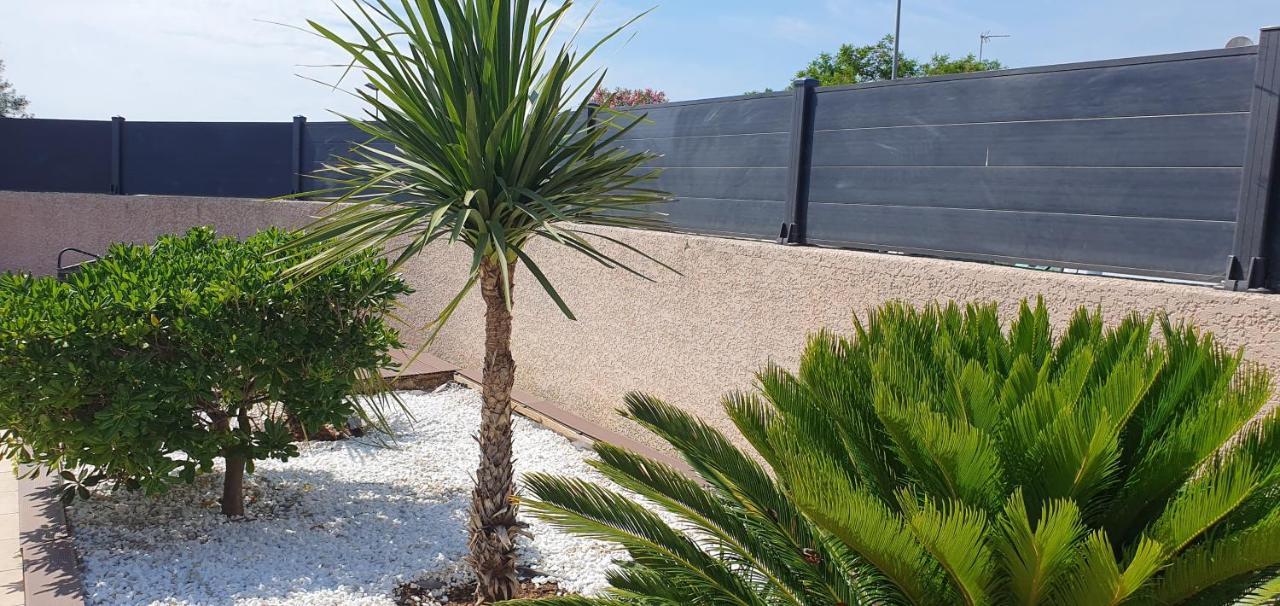 קרקסון La Villa De L'Olivier Piscine Privee Et Parking מראה חיצוני תמונה