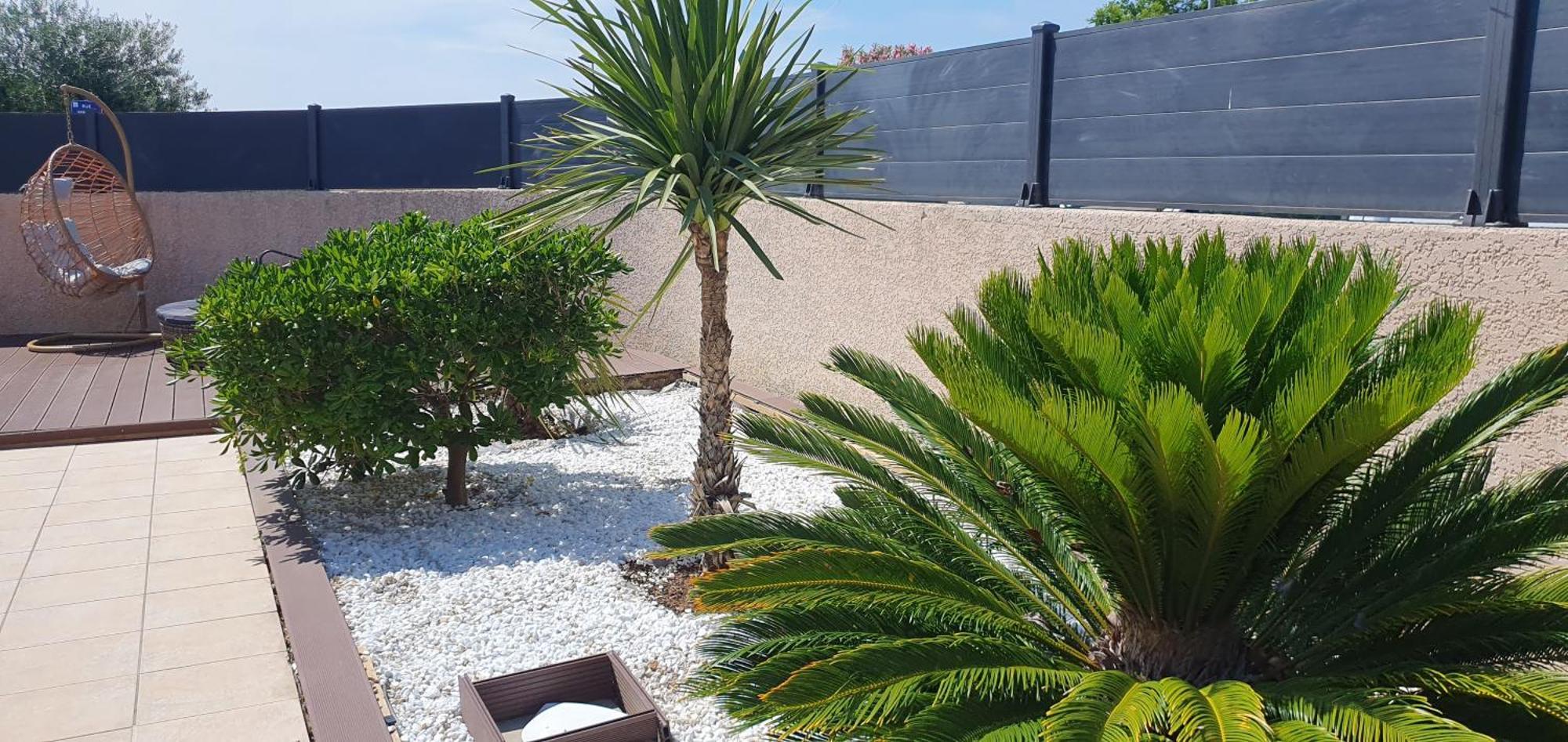 קרקסון La Villa De L'Olivier Piscine Privee Et Parking מראה חיצוני תמונה